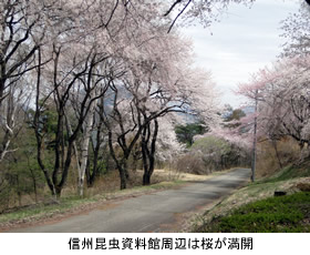 東京都市大学の関係者らが五島慶太翁の出身地である青木村を訪問見学