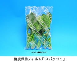 東京都市大学とエコ食品健究会、三井化学が3種類の農法で生産された野菜と包装材の水使用量・消費量を算出