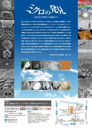 東京都市大学図書館　第6回企画展「ミクロの発見～身近な生物から金属まで～」開催