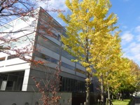 世田谷キャンパスも紅葉がキレイです.JPG