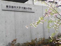 東京都市大学付属小学校　平成23年度入学式.JPG