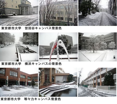 東京都市大学の3キャンパスでも雪化粧が見られました