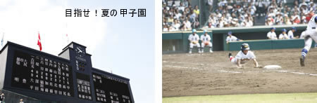 今年も甲子園を目指す東京都市大学グループの球児たちの熱い夏がはじまりました