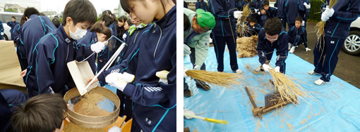 東京都市大学等々力中学校・高等学校　フィールドワークで脱穀精米体験（中学1年）