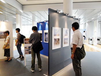 土木構造物は『重厚かつ華麗』で『高機能かつ複雑』である—　東京都市大学図書館企画展開催中（〜11/2まで）
