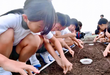 東京都市大学付属小学校において食育プログラム「ミクニレッスン」の種まき実習が行われました