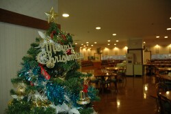 学生ホールに飾られているクリスマスツリーです.jpg