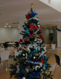 学生ホールに飾られているクリスマスツリー.jpg